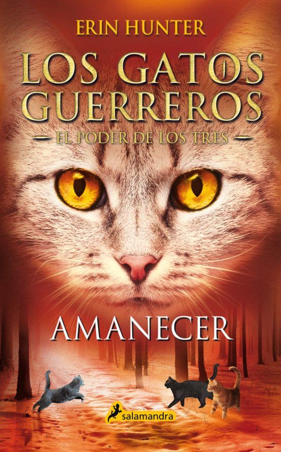 Amanecer Amanecer
