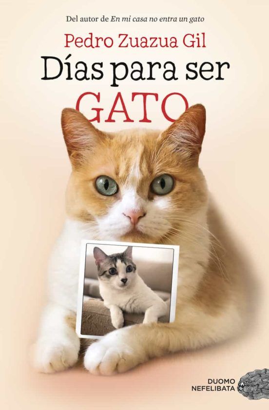 Días para ser gato Días para ser gato